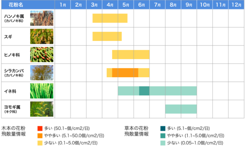 花粉症の対策と日本 中国との違い 朝日衛生材料